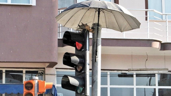 Scaklarda yuva yapan kumruya koruma