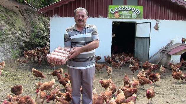 Polislikten emekli olununca organik tavuk iftlii kurdu