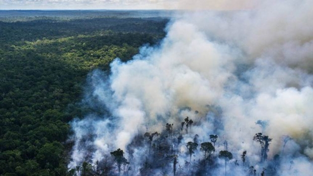 Brezilya Amazonlar'daki yangn sndrmek iin orduyu grevlendirdi