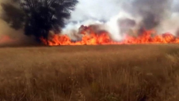 Akrebe kznca 50 dekarlk araziyi yakt