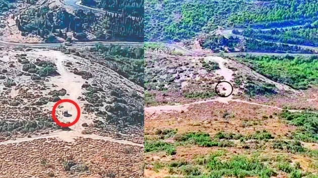 nsanlk dmanlar byle grntlendi