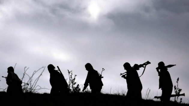 Hakkari'de PKK'l terrist teslim oldu