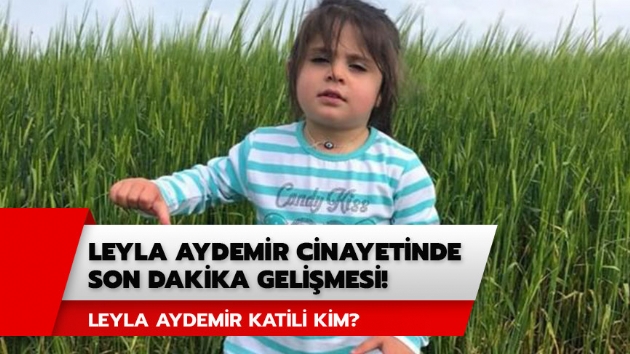 Leyla Aydemir'in katili kim?