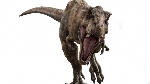 T-Rex'lerin kafataslarnda klima ilevi gren delikler kefedildi