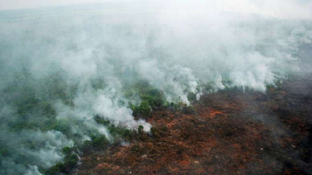 Endonezya'da yangnlarn yol at youn duman nedeniyle uak seferleri iptal edildi
