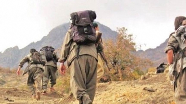 Hakkari'de PKK'l terrist teslim oldu
