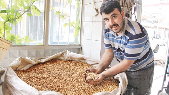 Kula leblebisi 16 farkl eidi ile dnyaya ihra ediliyor