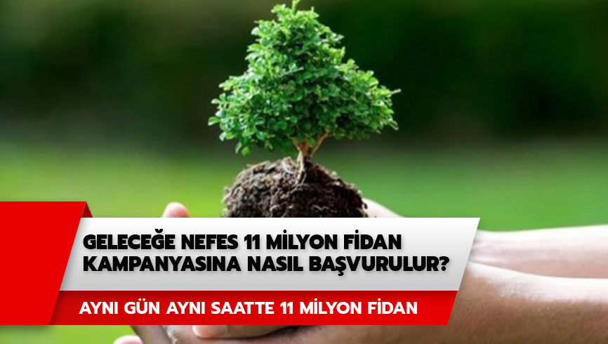 Gelece�e Nefes Ol kat�l�m �artlar� nedir? Gelece�e Nefes 11 milyon Fidan kampanyas� ba�vuru ekran�! 