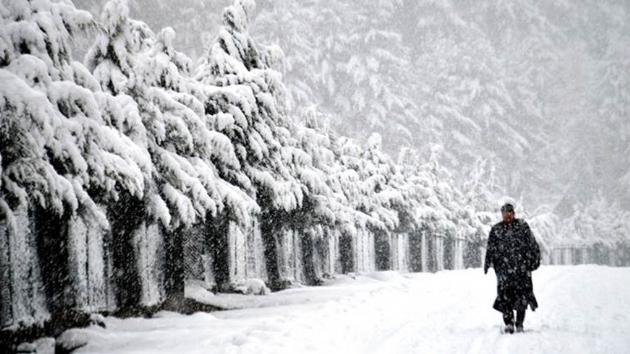 Cammu Kemir'de youn kar nedeniyle 6 kii hayatn kaybetti