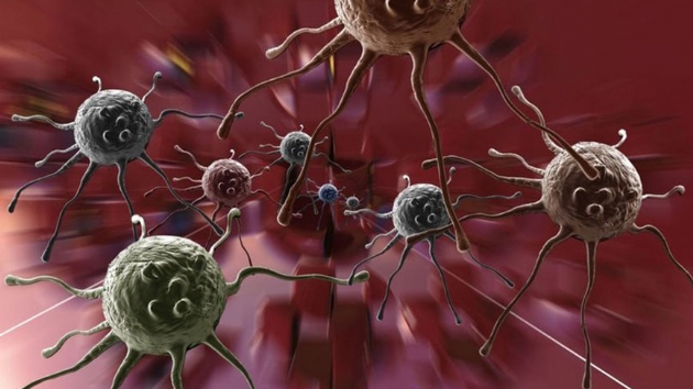 Bilim insanlar, 19 yl sonra yeni HIV virs saptad