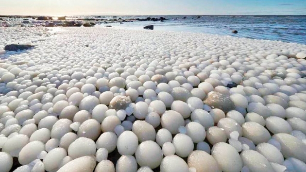 Plaj binlerce buzdan yumurtayla kapland