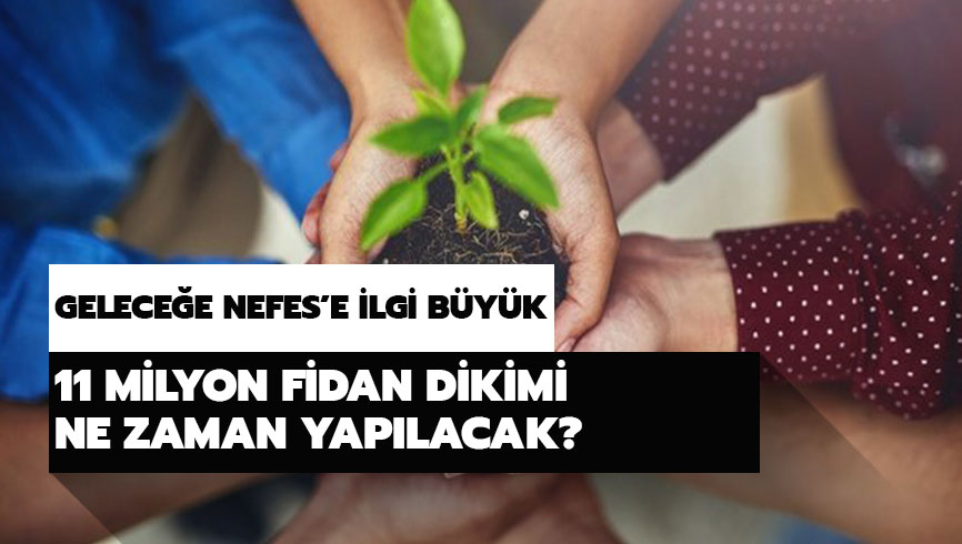 11 milyon fidan dikimi ne zaman? Gelece�e Nefes t�ren alanlar� nereler?