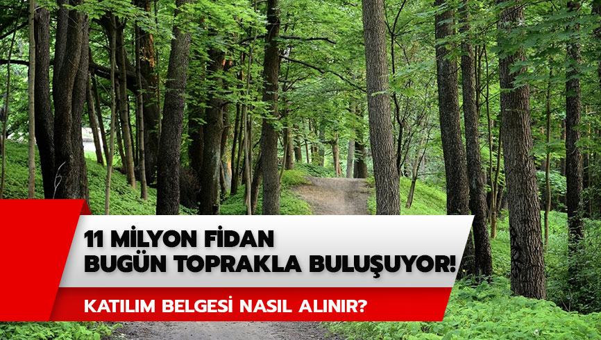11 milyon fidan toprakla bulu�tu! Gelece�e Nefes kat�l�m belgesi nas�l al�n�r? 