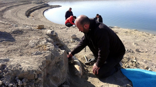Kayseri'de 7,5 milyon yllk yeni fosil bulundu