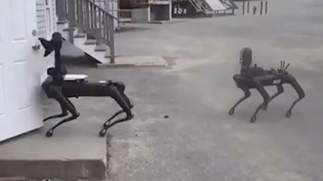 ABD'de polis Boston Dynamics'in robot kpeklerini kulland