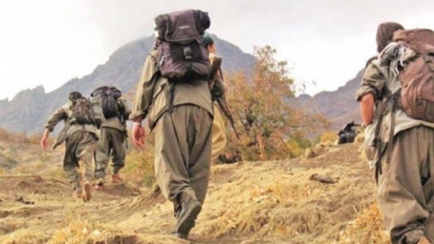 Terristlerin umutsuzluk ve karamsarl gnlklerine yansd