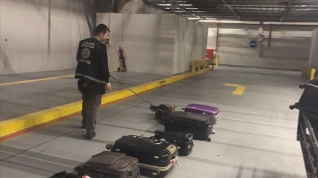 stanbul Havaliman'nda bavullara gizlenmi 4,6 kilogram kokain ele geirildi