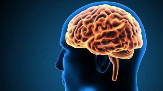 Prof. Dr. Uur Bat: Beyin kullanlmadka klyor