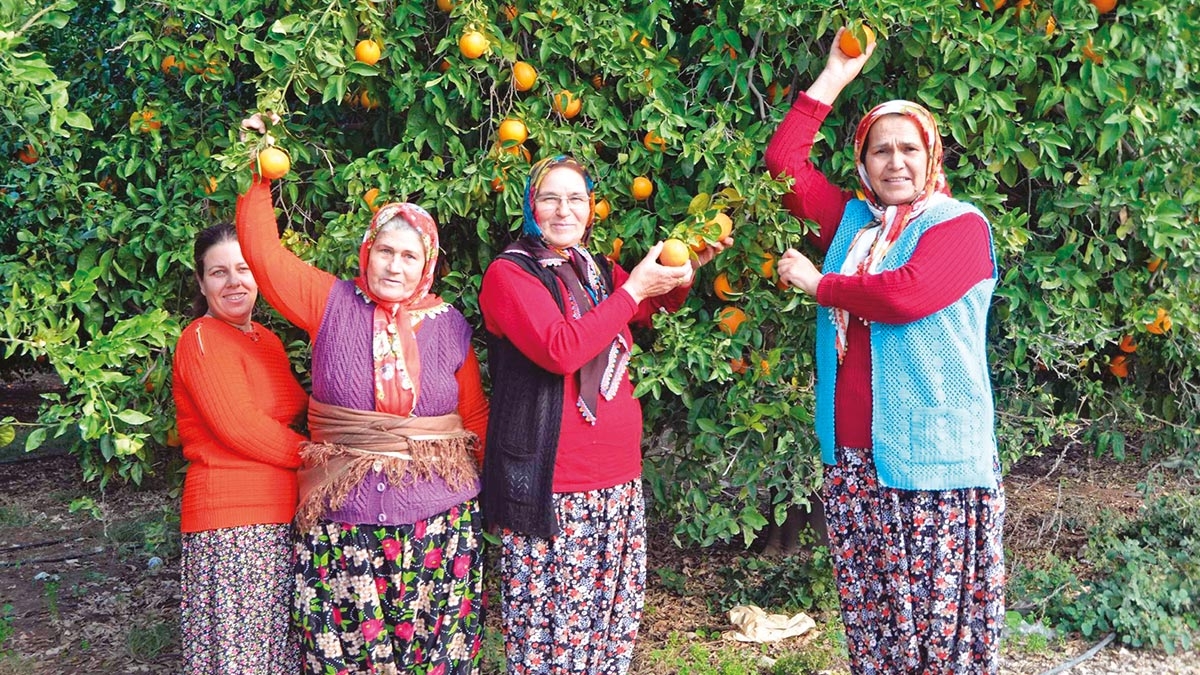 mmiye Teyze yeni filme hazrlanyor