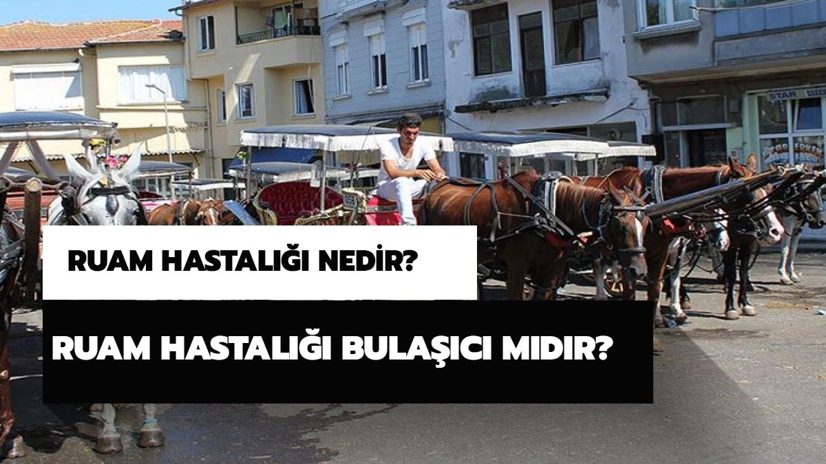 Ruam ne demek? Ruam hastal bulac mdr? Ruam hastal nedir? 