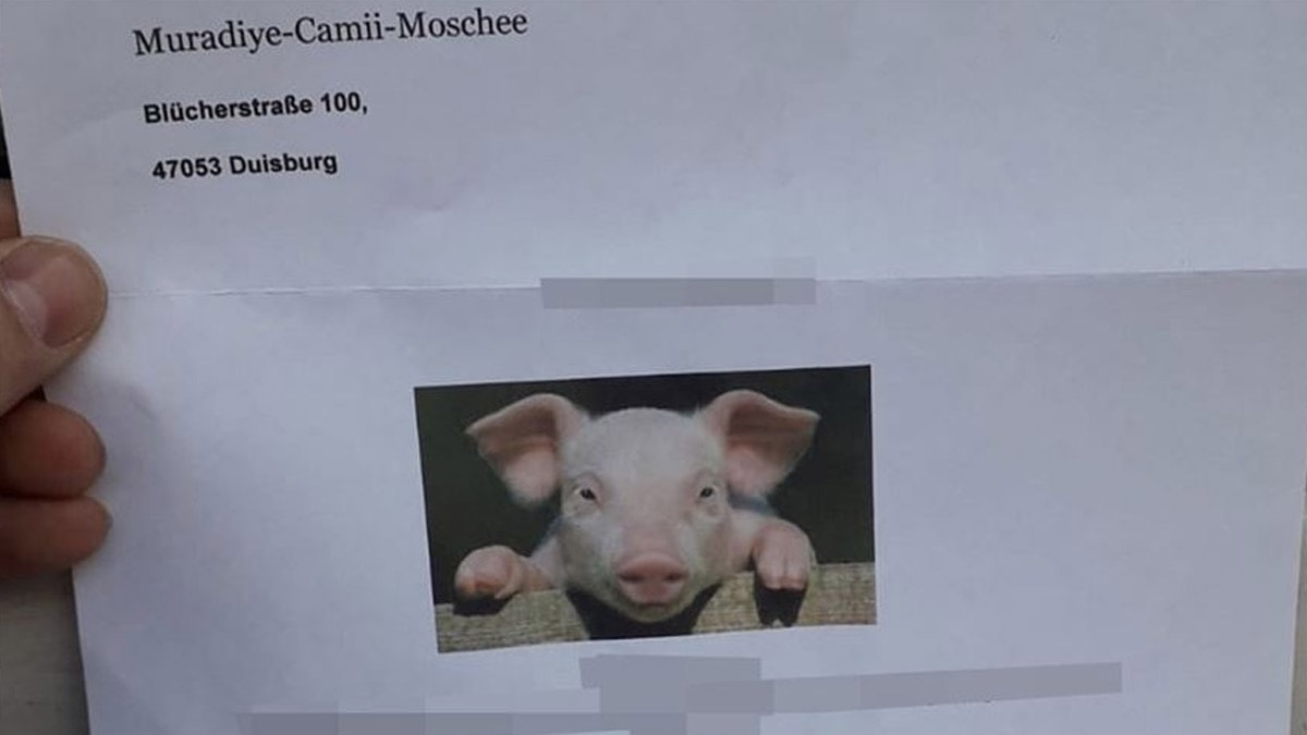 Almanya'da camiye domuz fotorafl hakaret mektubu gnderildi