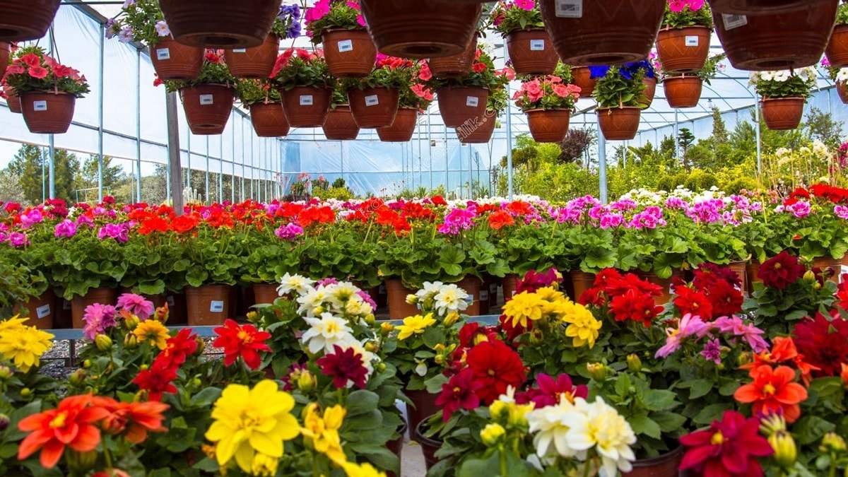 iek sektr ihracatta rekor krd