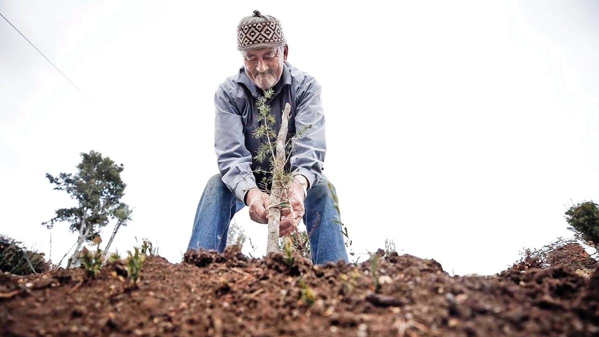 Mehmet dedeninelleri emein roman