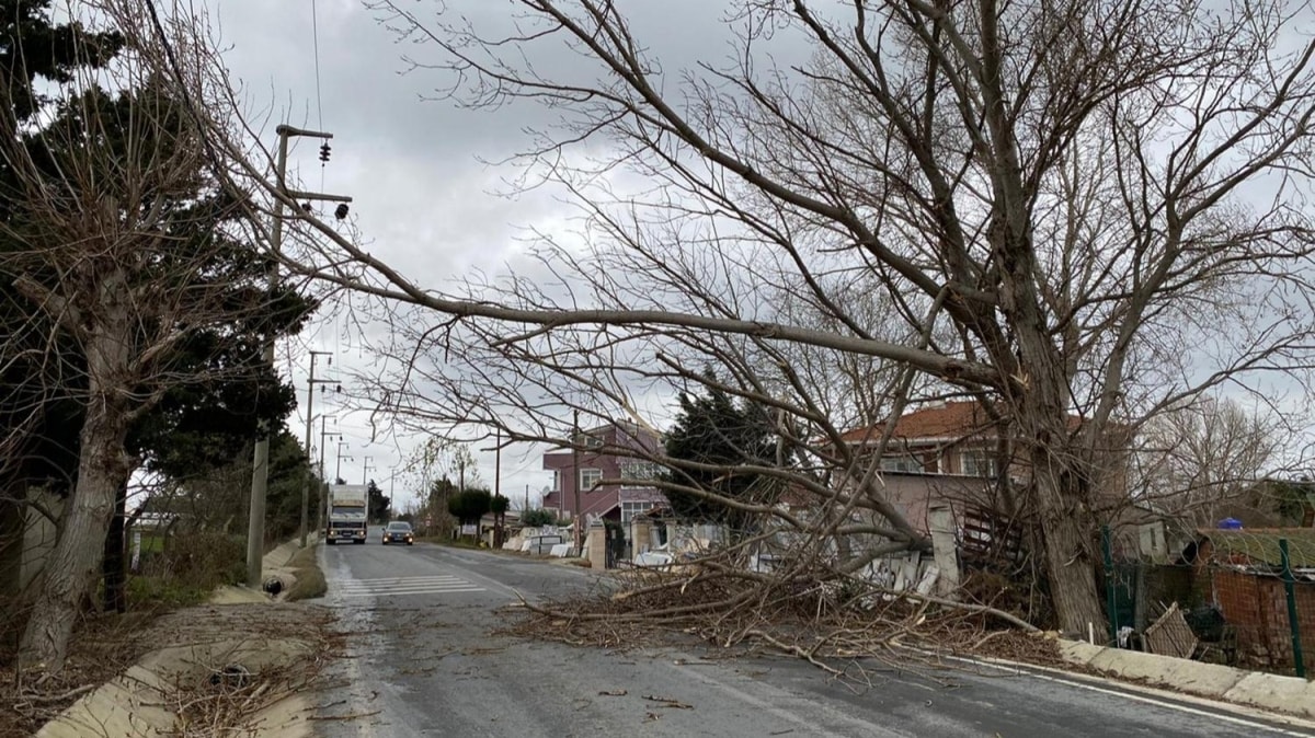 atalca'da iddetli frtna aa devirdi