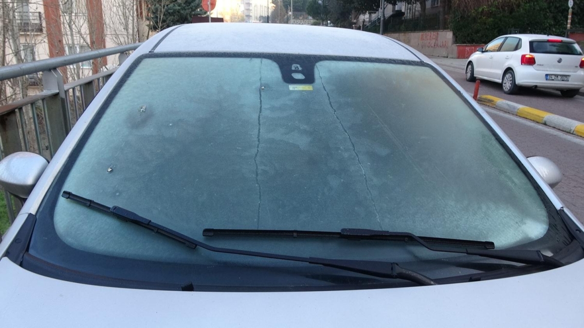 stanbul'da srclerin buzla mcadelesi
