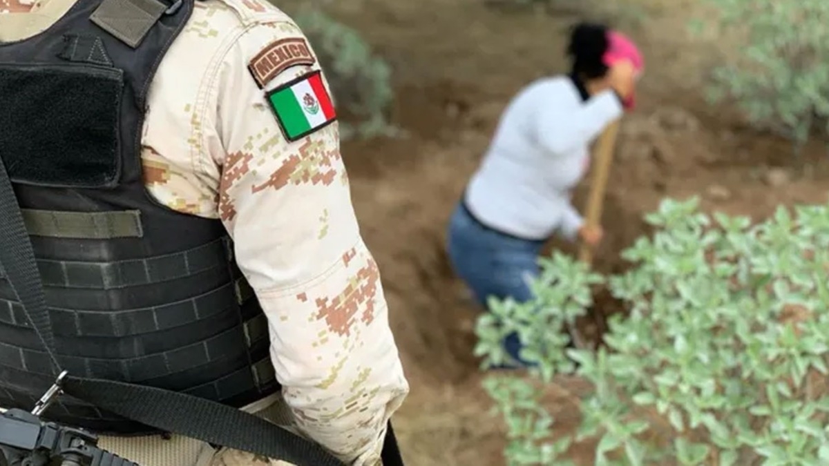 Meksika'da gizli mezarda 5 ceset bulundu