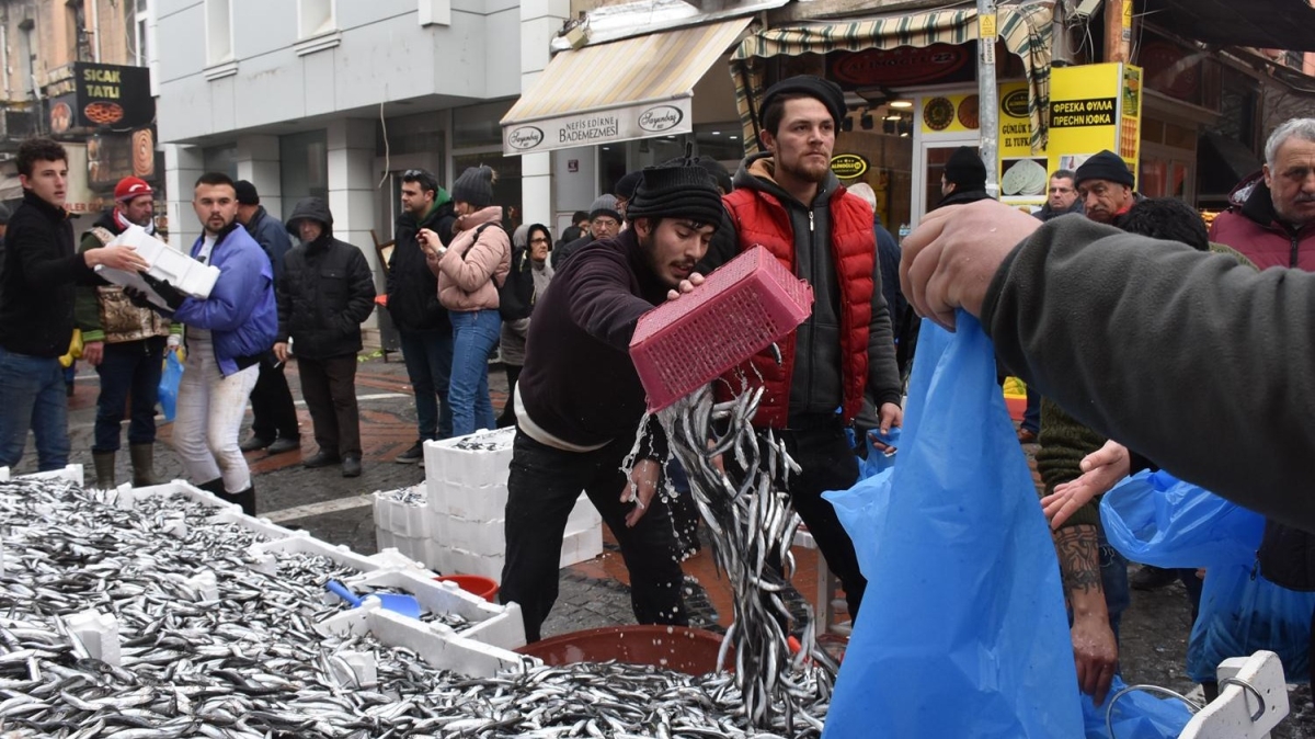 Edirne'de ucuz hamsi iin sraya girdiler