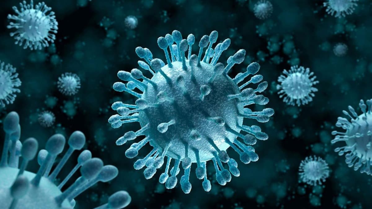 Pakistan'da SARS benzeri koronavirs uyars