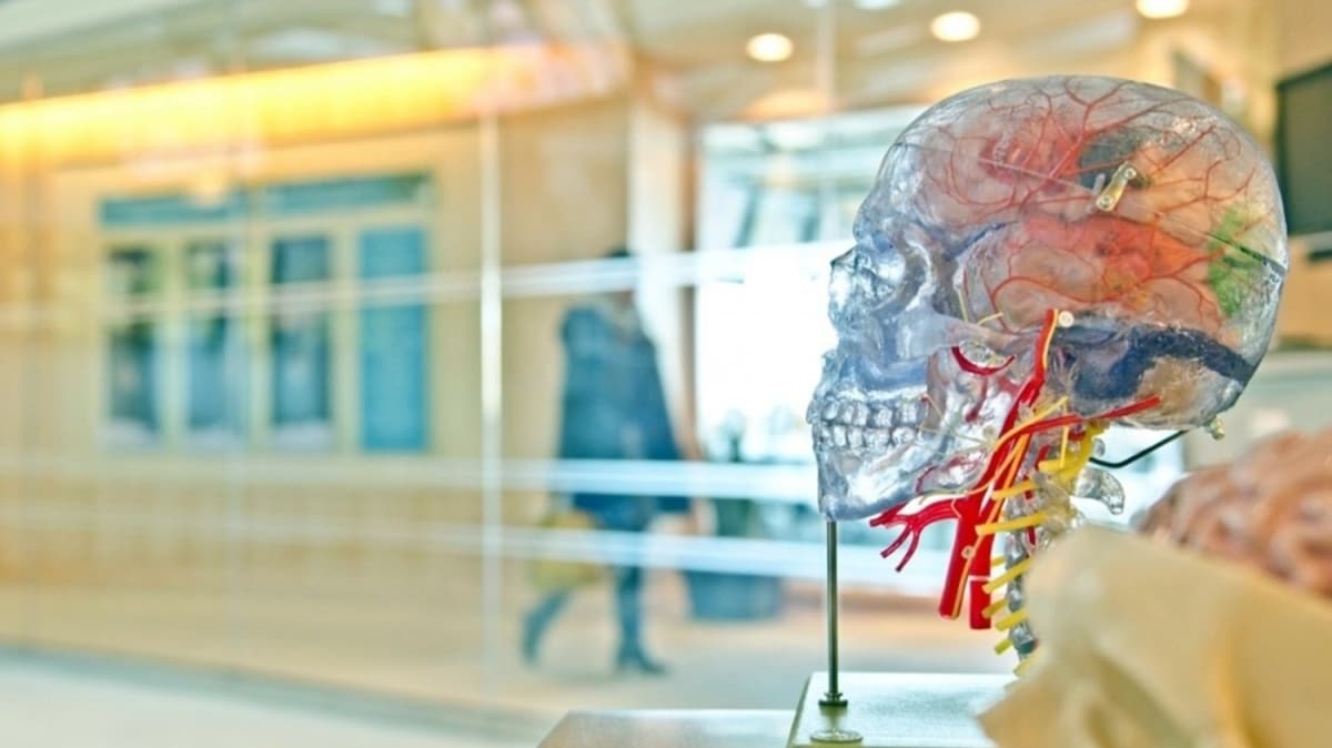 Prof. Dr. Uur Bat: Dzensiz gelir beyin saln olumsuz etkiliyor 