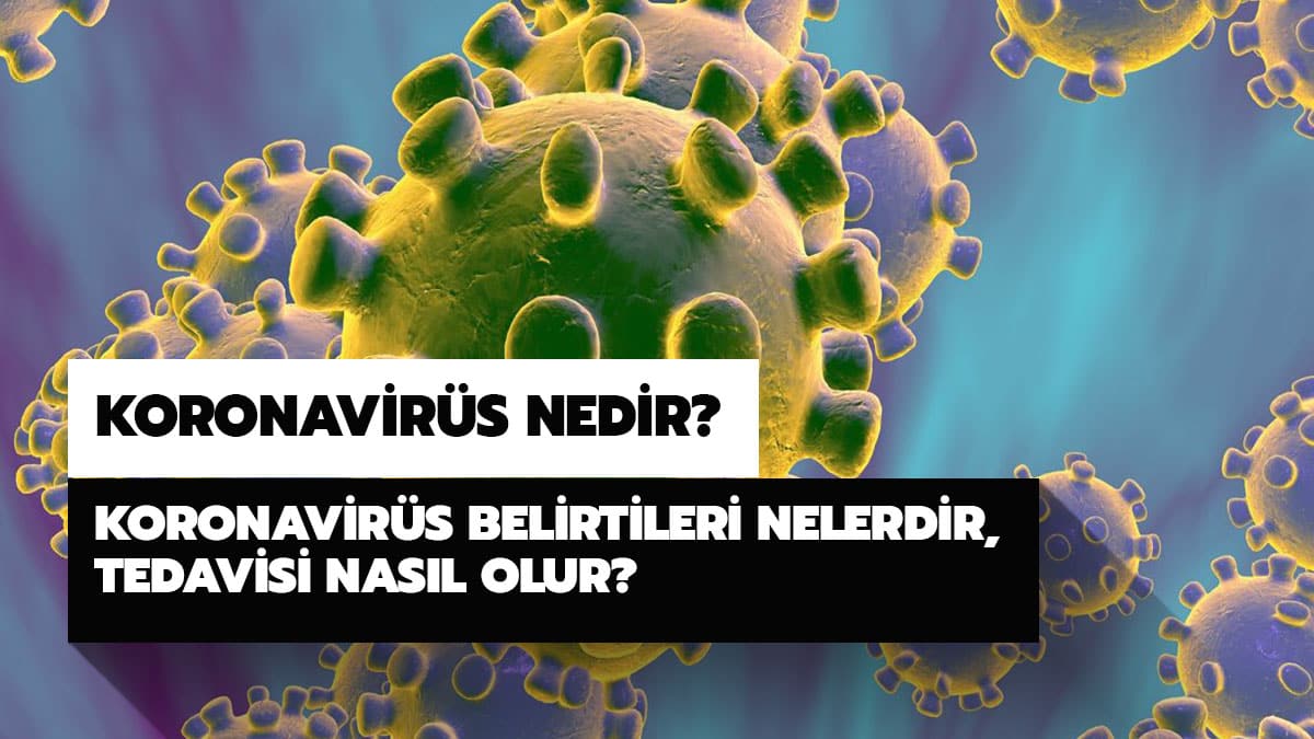 Koronavir�s nedir? Koronavir�s belirtileri nelerdir, tedavisi nas�l olur?