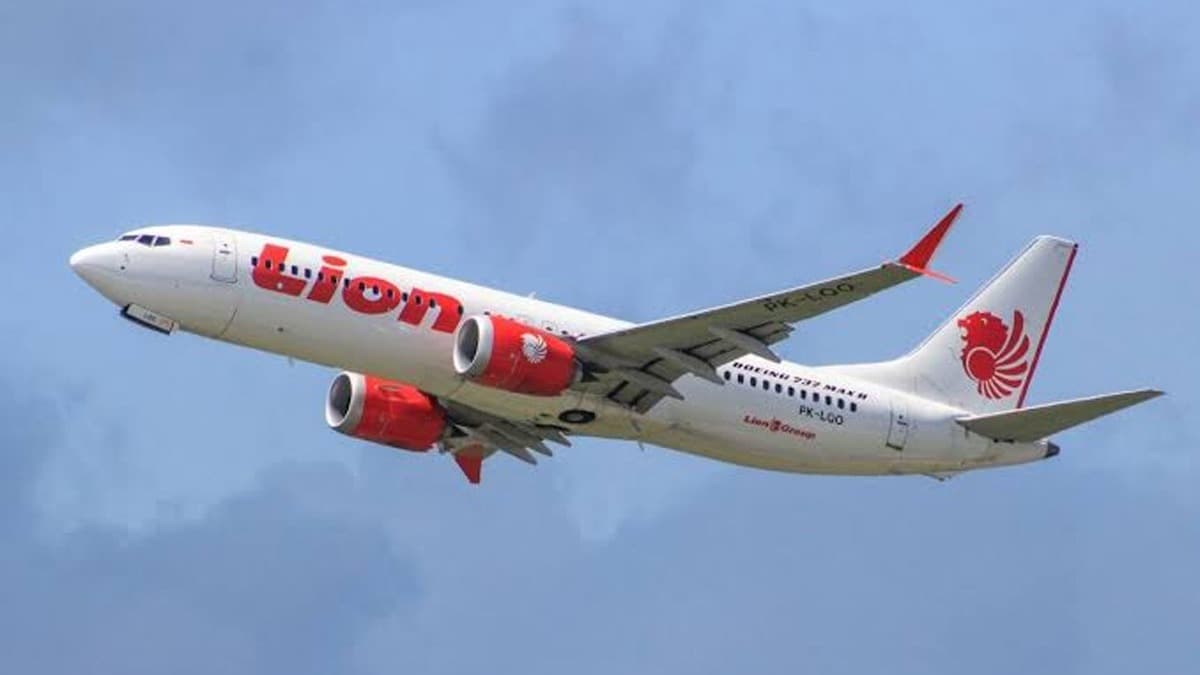 Lion Air ve Seoul Air irketleri de in'e uularn durduruyor