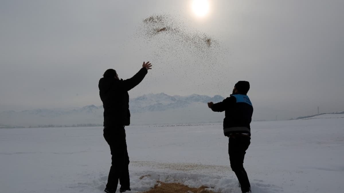 Shke Glnn yzeyi buzla kapland 