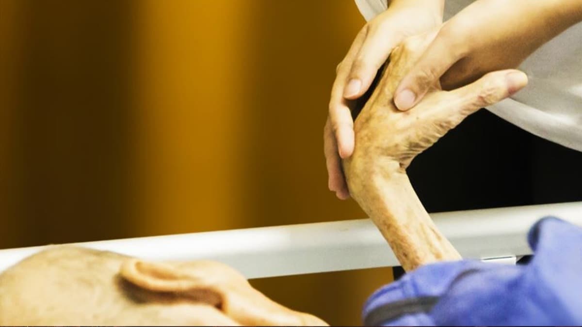 Hollanda'da tanazi talepleri artyor