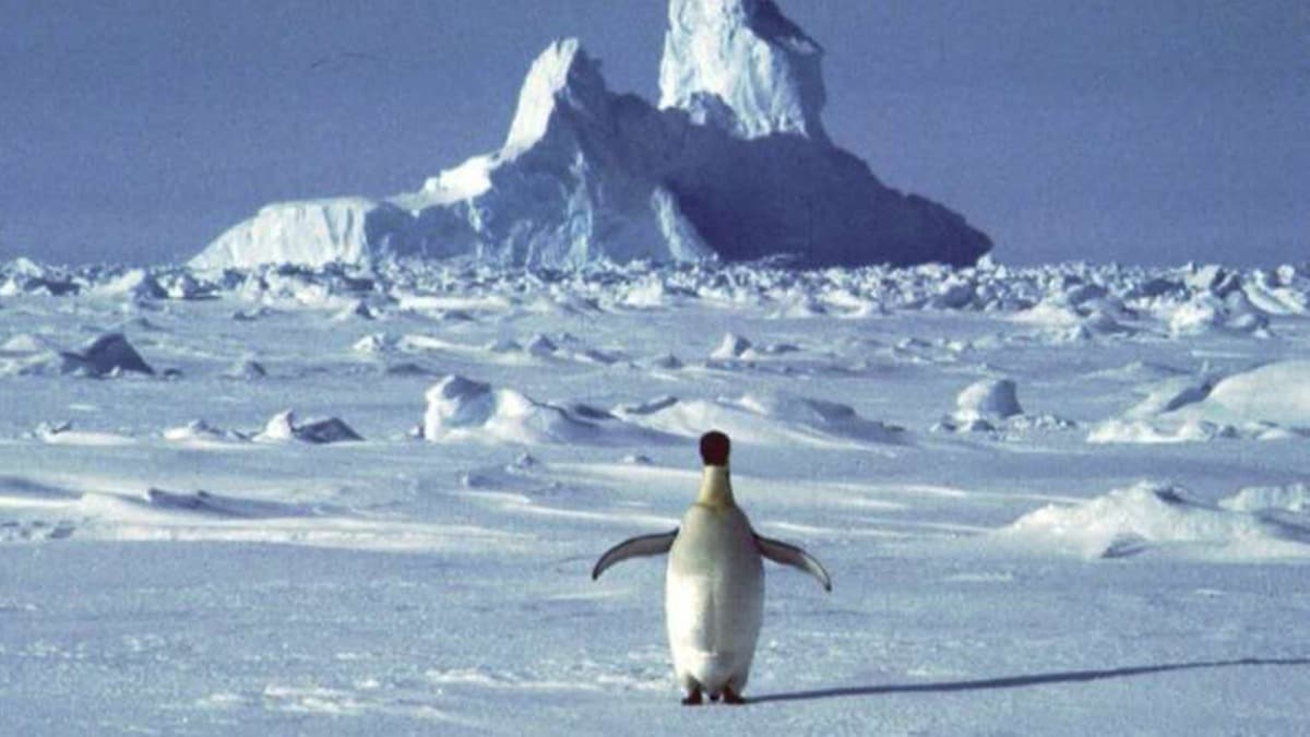 Antarktika'da s rekoru krld