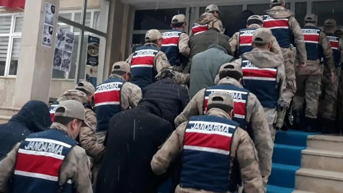 Hayvan hrszlarna e zamanl operasyon
