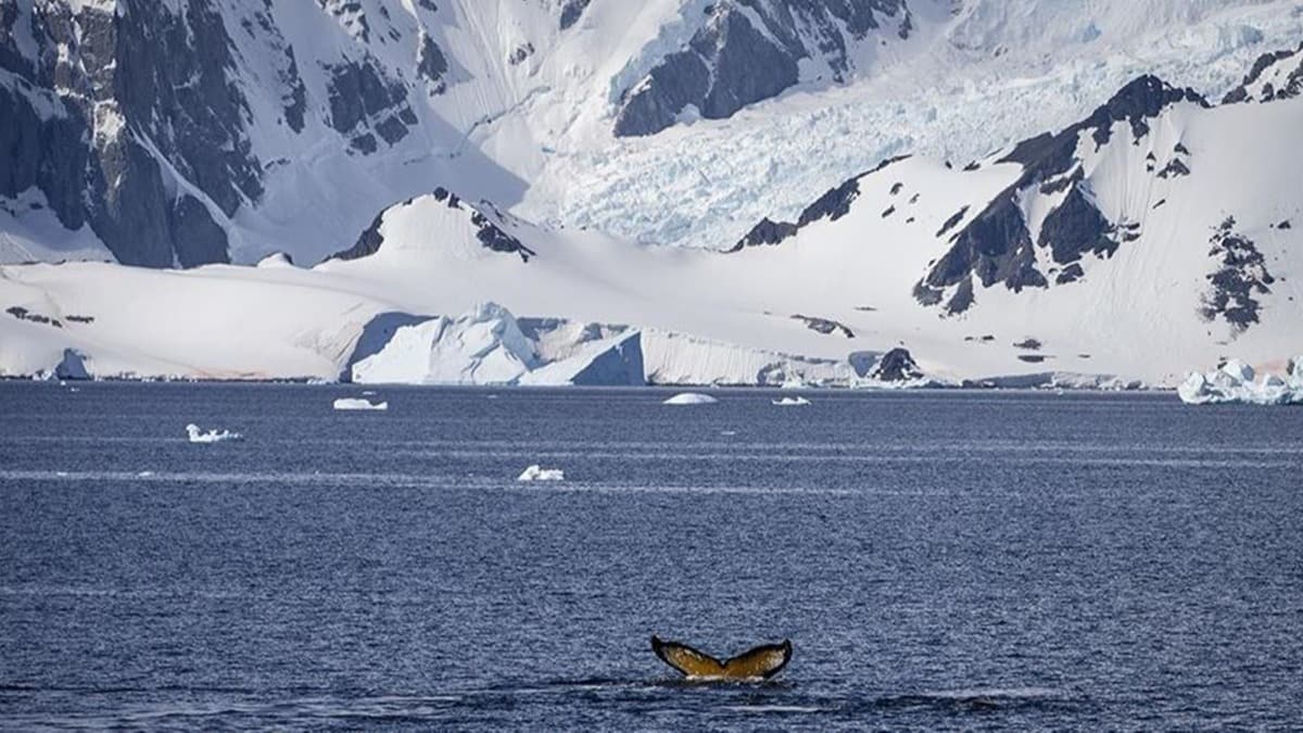 Trk bilim ekibi pazar gn Antarktika yolculuuna balayacak