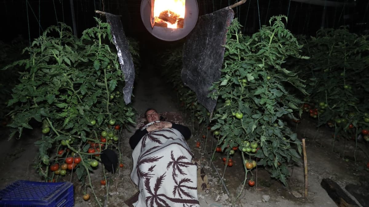 Seralarda sabaha kadar 'yatakl' don nbeti