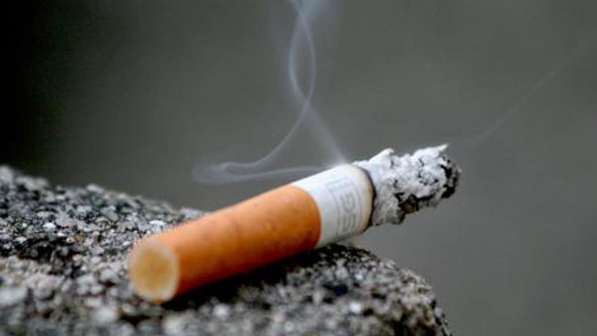 Sigara endstrisine 'etik ve insani boyutlar dnmyor' eletirisi 