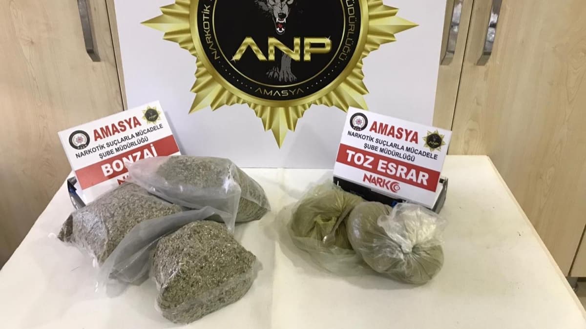 Amasya'da uyuturucu operasyonu: 1 gzalt