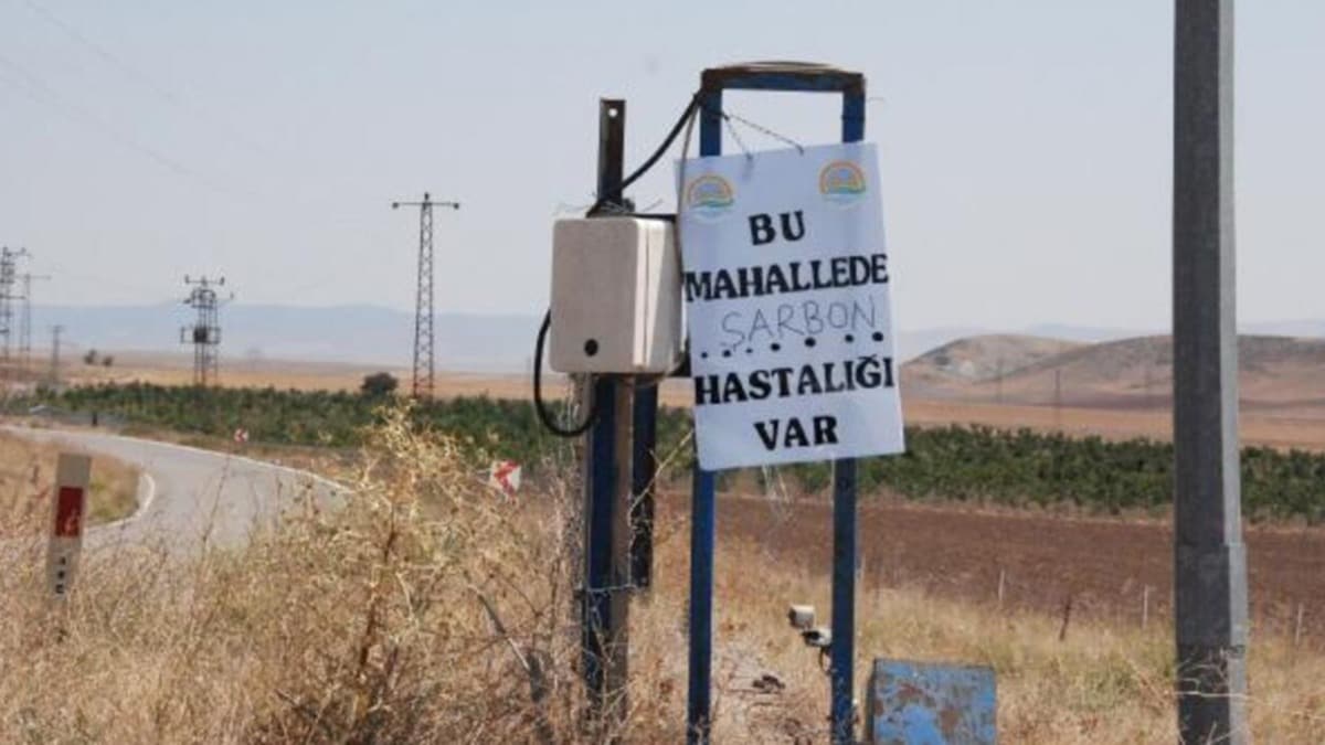 Bykba hayvanda arbon tespit edildi... Kapatld