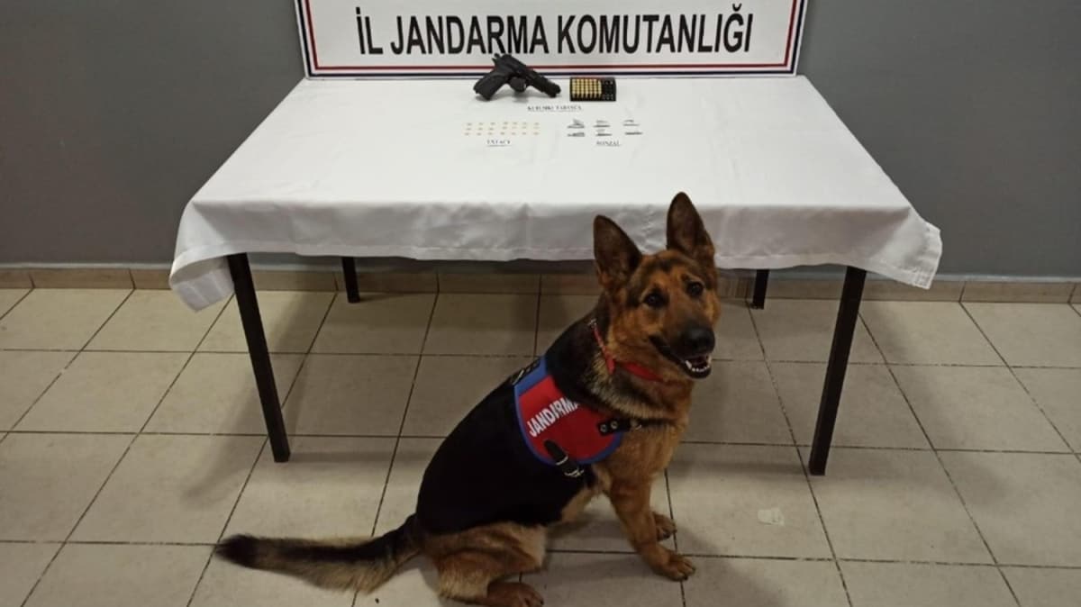 Jandarmadan uyuşturucu operasyonu: 1 gözaltı 