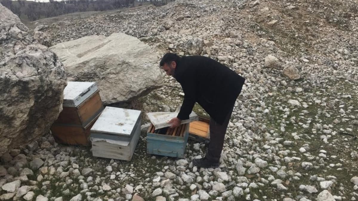 Adyaman'da 16 adet arl kovan alnd 
