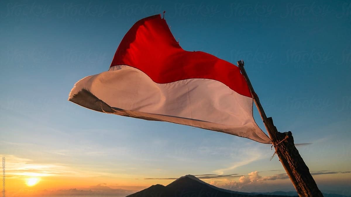 Endonezya, Endonezce'nin Gneydou Asya'nn ortak dili olmasn istiyor