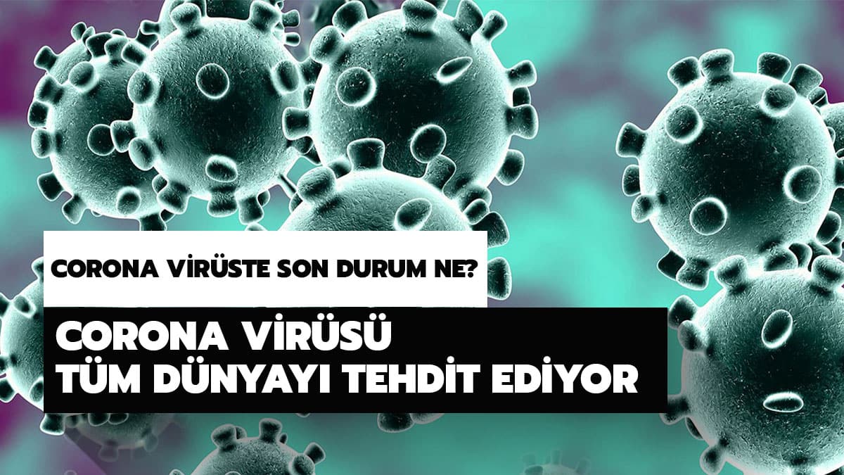 Corona vir�ste son durum ne? Corona vir�s� belirtileri nelerdir? Corona vir�s� nedir?