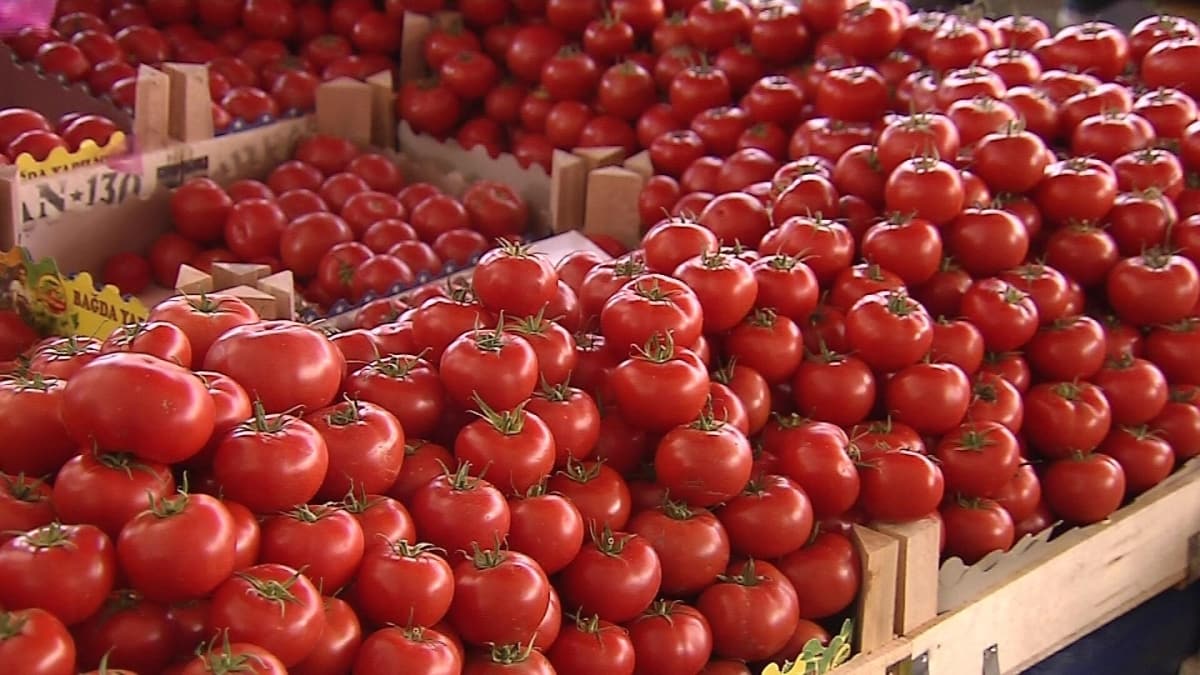 Rusya, Trkiye'den domates ithalat kotasn artrd