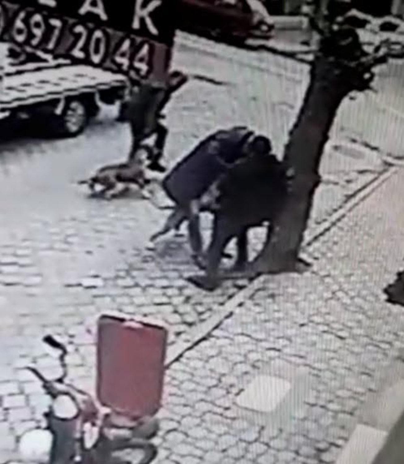 A�aca ba�l� Rus finosuna 2 pitbull sald�r�s� kamerada